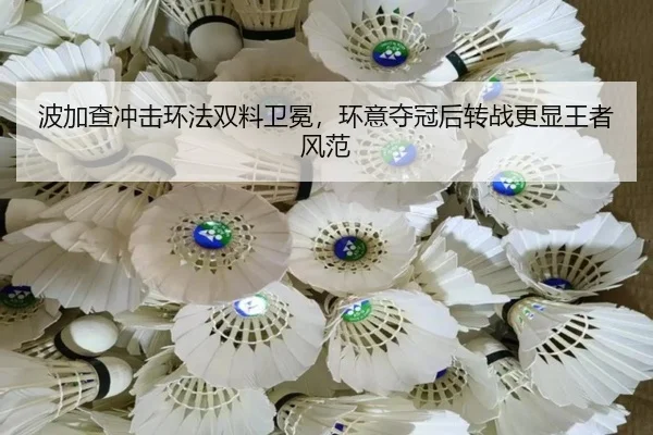 bo-jia-cha-chong-ji-huan-fa-shuang-liao-wei-mian-huan-yi-duo-guan-hou-zhuan-zhan-geng-xian-wang-zhe-feng-fan-2-914.jpg