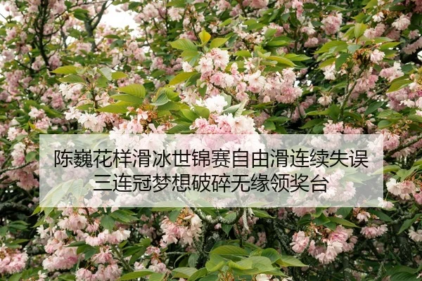 chen-wei-hua-yang-hua-bing-shi-jin-sai-zi-you-hua-lian-xu-shi-wu-san-lian-guan-meng-xiang-po-sui-wu-yuan-ling-jiang-tai-2-778.jpg
